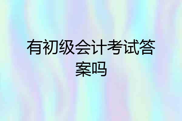 有初级会计考试答案吗