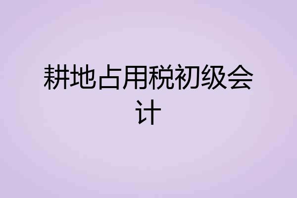 耕地占用税初级会计