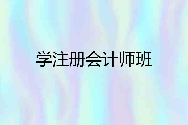 学注册会计师班
