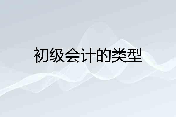 初级会计的类型