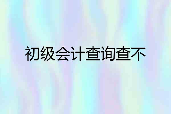初级会计查询查不