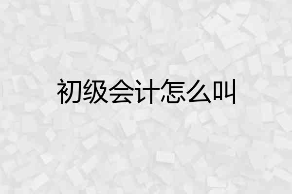 初级会计怎么叫