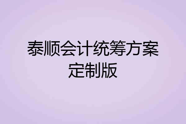 泰顺会计统筹方案定制版