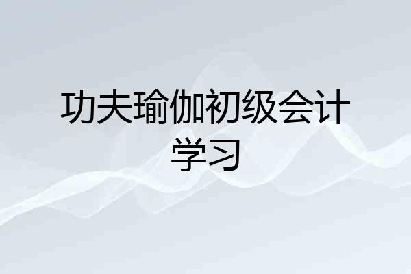 功夫瑜伽初级会计学习