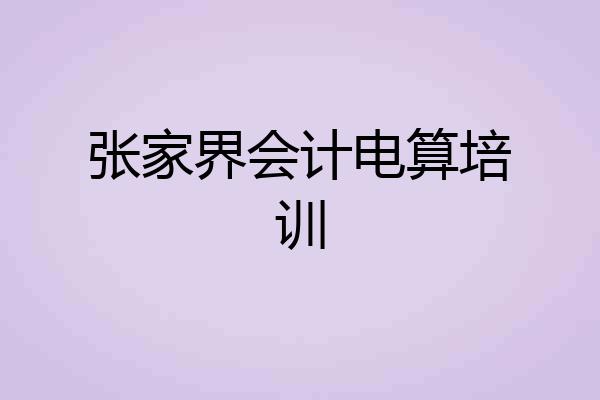 张家界会计电算培训