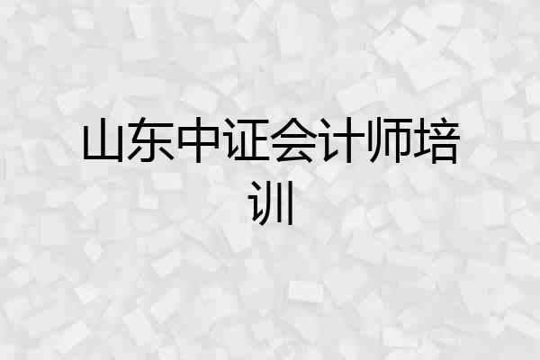 山东中证会计师培训