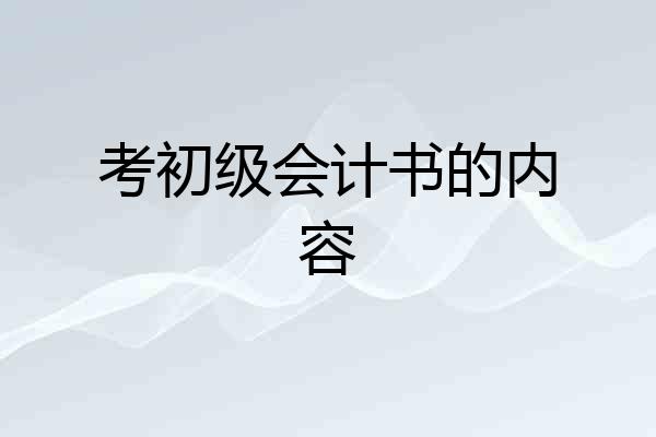考初级会计书的内容