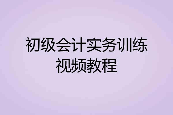 初级会计实务训练视频教程
