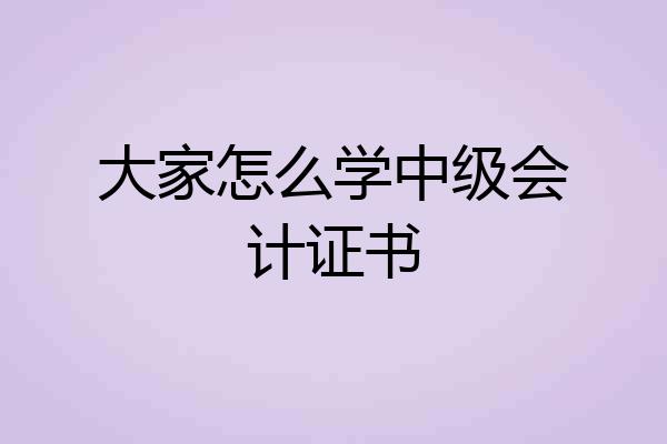 大家怎么学中级会计证书