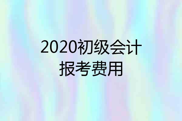 2020初级会计报考费用