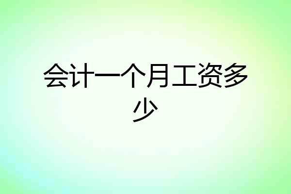 会计一个月工资多少