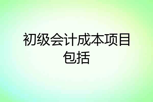 初级会计成本项目包括