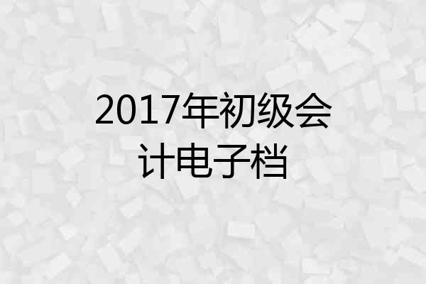 2017年初级会计电子档