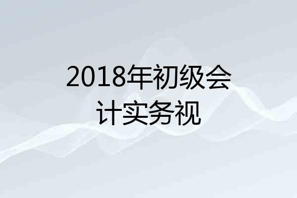 2018年初级会计实务视