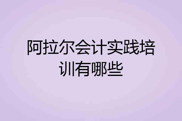 阿拉尔会计实践培训有哪些