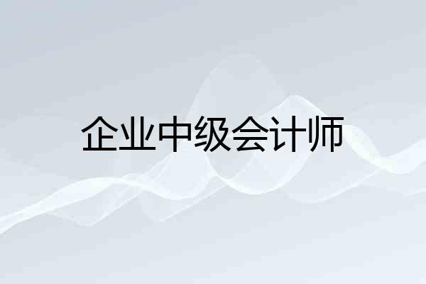 企业中级会计师