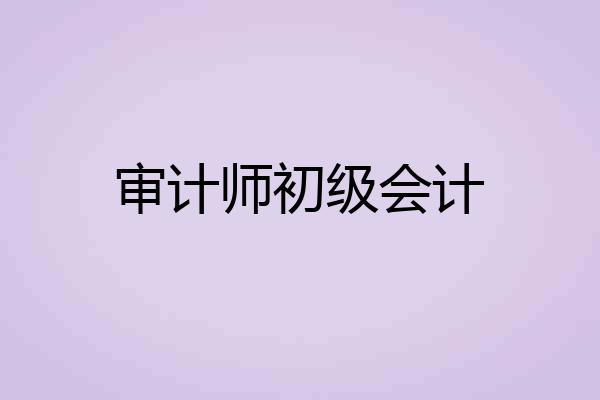 审计师初级会计