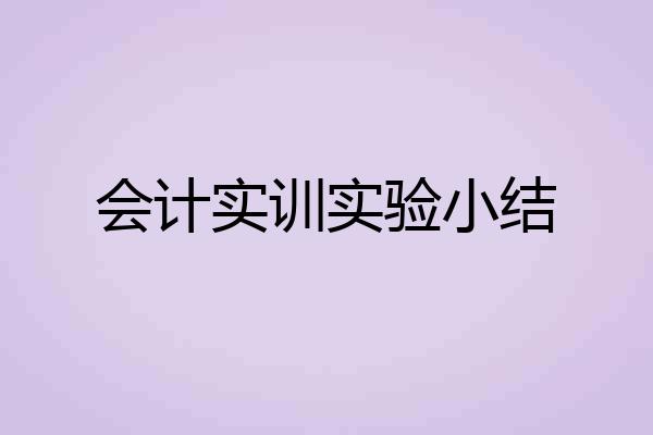 会计实训实验小结