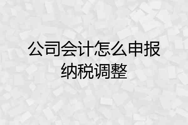 公司会计怎么申报纳税调整