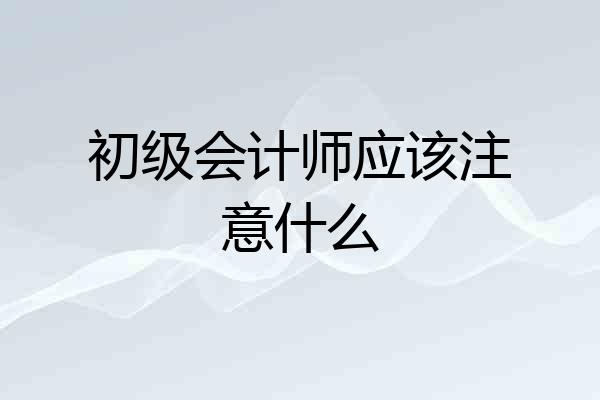 初级会计师应该注意什么