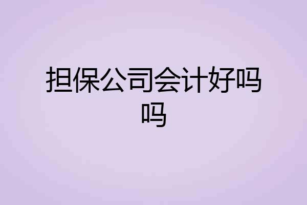 担保公司会计好吗吗