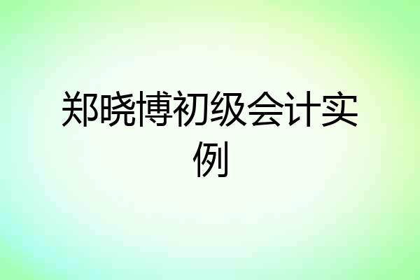 郑晓博初级会计实例