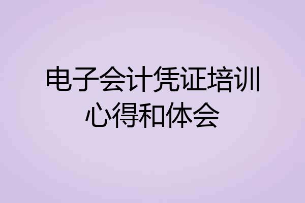 电子会计凭证培训心得和体会