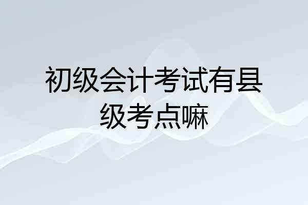 初级会计考试有县级考点嘛