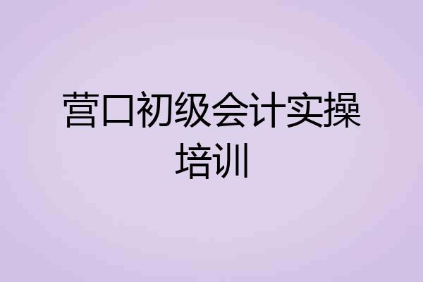 营口初级会计实操培训