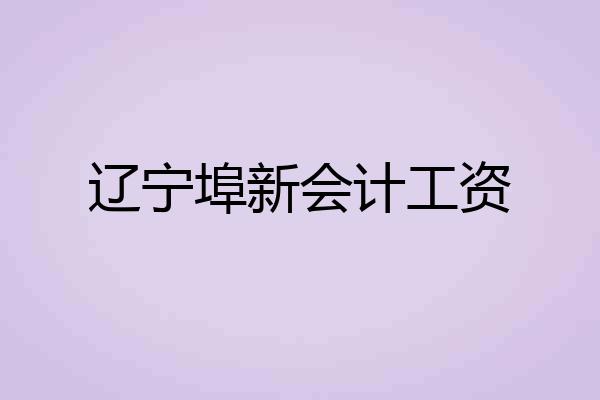 辽宁埠新会计工资