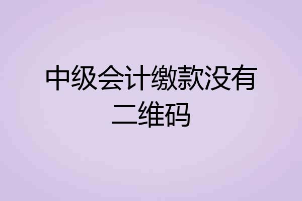 中级会计缴款没有二维码