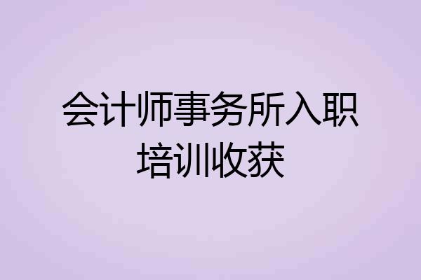会计师事务所入职培训收获