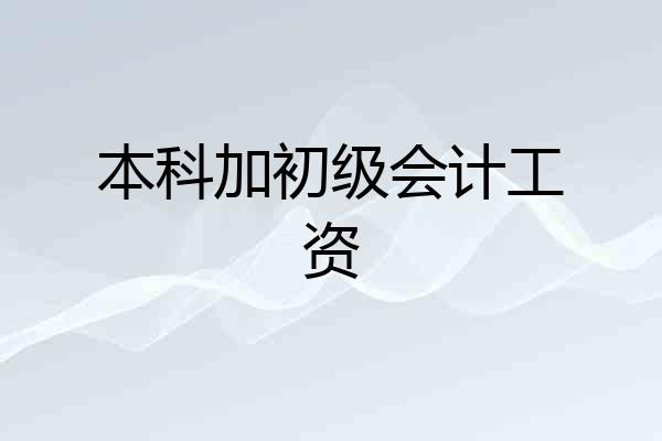 本科加初级会计工资