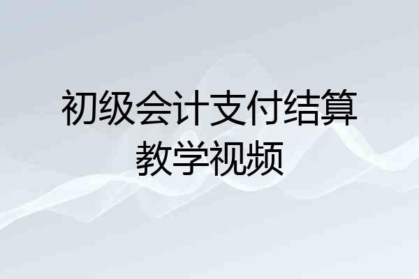 初级会计支付结算教学视频