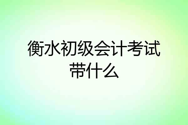 衡水初级会计考试带什么