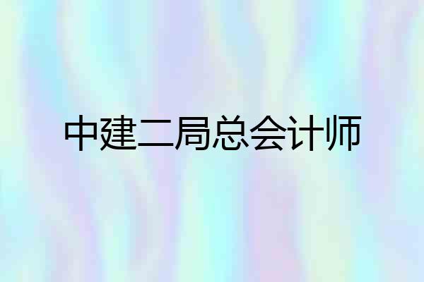 中建二局总会计师