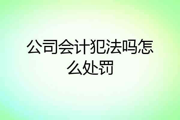 公司会计犯法吗怎么处罚