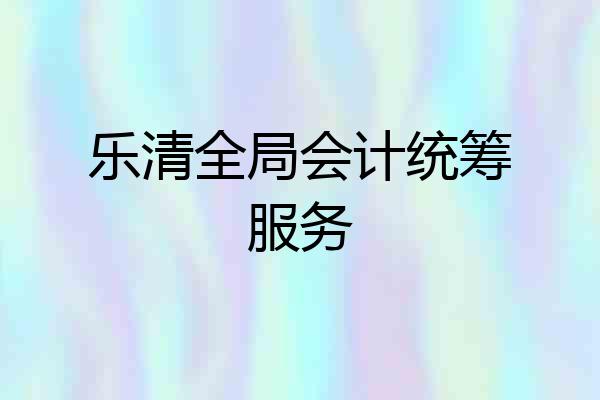乐清全局会计统筹服务