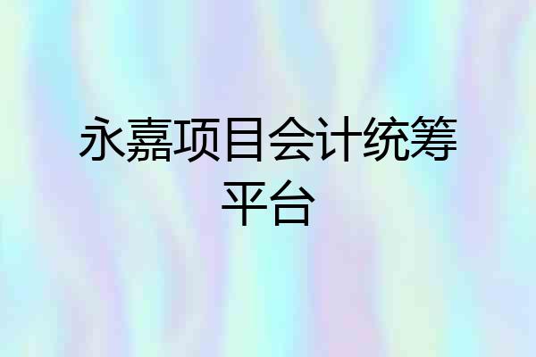 永嘉项目会计统筹平台
