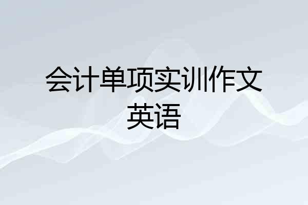会计单项实训作文英语