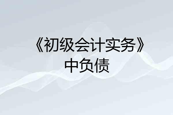 《初级会计实务》中负债