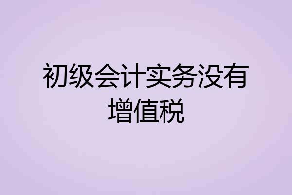 初级会计实务没有增值税
