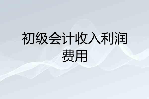 初级会计收入利润费用