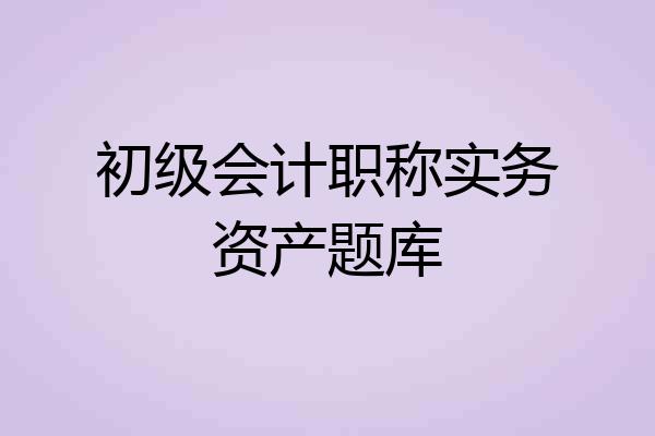初级会计职称实务资产题库