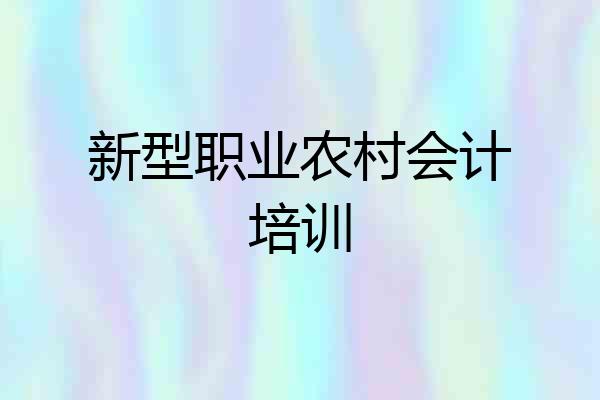 新型职业农村会计培训