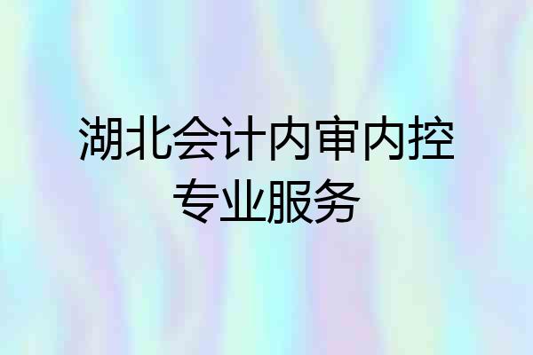 湖北会计内审内控专业服务