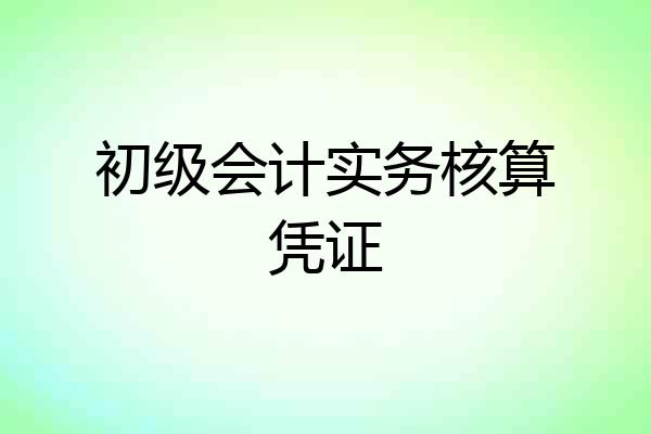 初级会计实务核算凭证