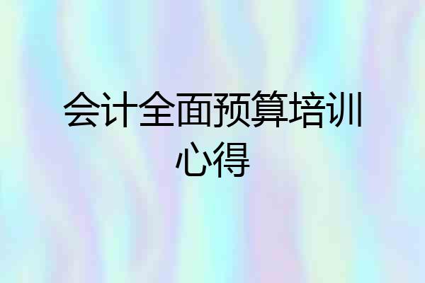 会计全面预算培训心得