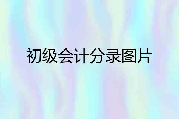 初级会计分录图片