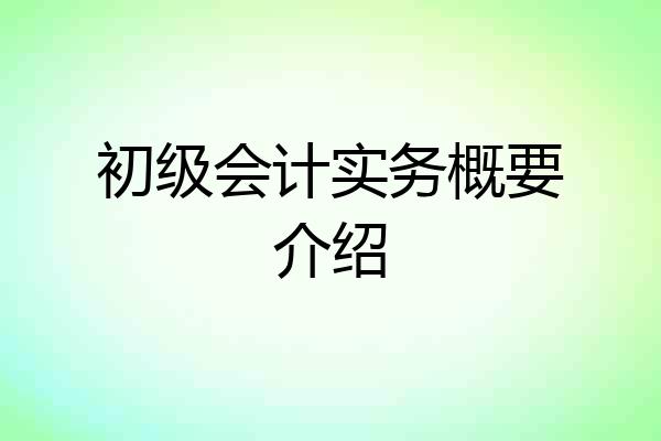 初级会计实务概要介绍